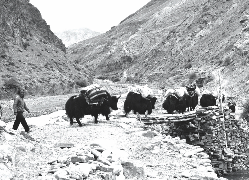 1916 BS Nepal-Tibet Earthquake
